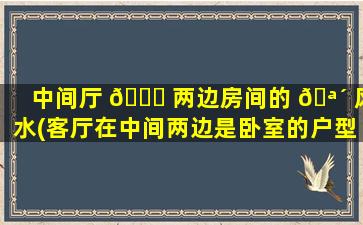 中间厅 🐞 两边房间的 🪴 风水(客厅在中间两边是卧室的户型好不好)